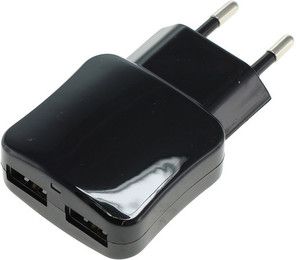 100-240V Ladegerät 2x USB 2Ah Schwarz