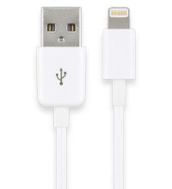 12V Ladegerät 2x USB 3,1Ah online kaufen